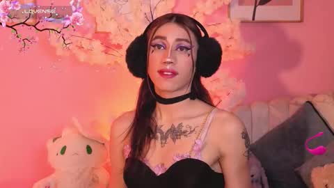  estrellita online show from 11, 9, 2025