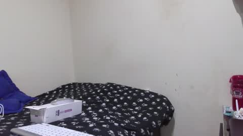 STEFANA online show from 30, 11, 2025