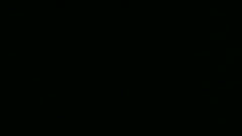 steflab online show from 24, 2, 2026