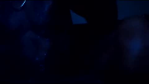 stefy1037 online show from 6, 3, 2026