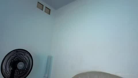 Steicy online show from 12, 4, 2026