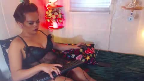 stella online show from 20, 1, 2025