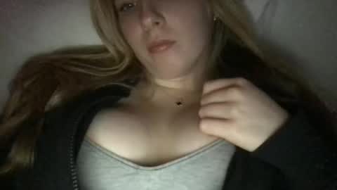 stelladams online show from 12, 12, 2024