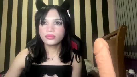 Snapshot of stellapapillon chatting on 10, 2, 2026 stellapapillon online show from 10, 2, 2026