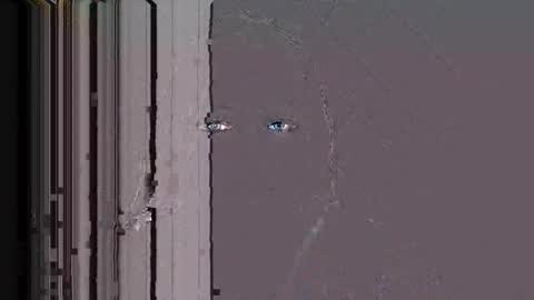 Stellaven online show from 10, 1, 2026