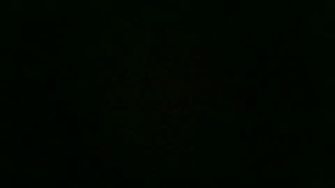 Snapshot of stensurfarn chatting on 2, 12, 2025 stensurfarn online show from 2, 12, 2025