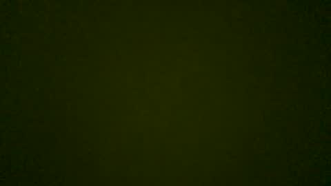 Snapshot of stensurfarn chatting on 26, 5, 2026 stensurfarn online show from 26, 5, 2026