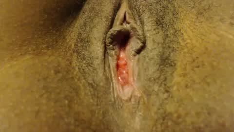 cate ma belle online show from 7, 10, 2025