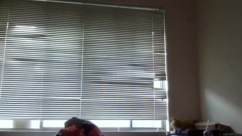 Australian420 online show from 8, 12, 2024