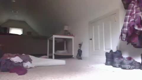 steve online show from 13, 10, 2025