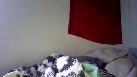 steviehard7 online show from 11, 10, 2025