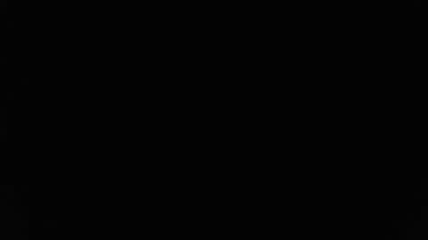 Snapshot of stewpididiot chatting on 11, 2, 2026 Stew Pididiot online show from 11, 2, 2026