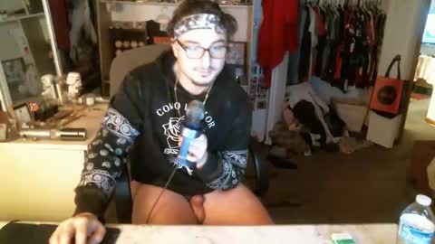 Snapshot of stickey4areason chatting on 15, 12, 2024 stickey online show from 15, 12, 2024