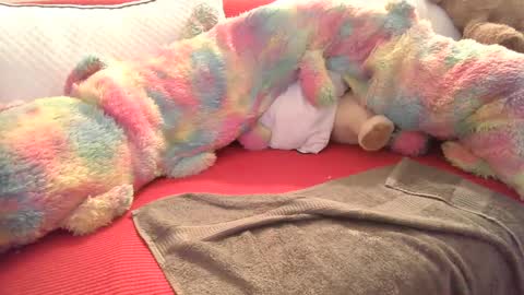 stickyjoe26 online show from 22, 1, 2025