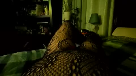 StockingGeek online show from 5, 12, 2025