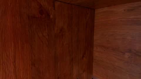 Stone Lee  online show from 23, 2, 2025