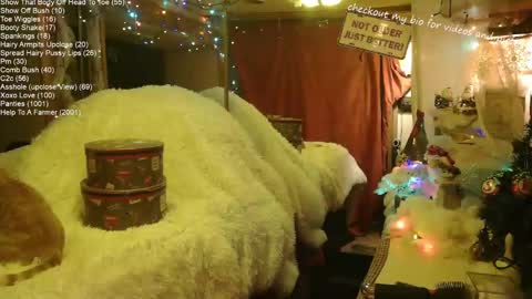 Stony Kat online show from 1, 1, 2025