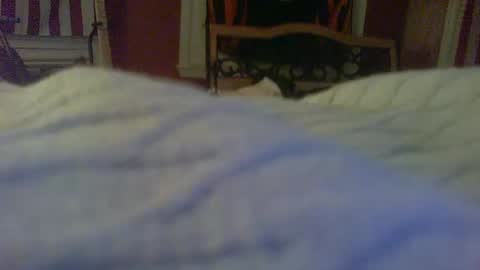 Snapshot of stratocatster chatting on 24, 1, 2025 stratocatster online show from 24, 1, 2025