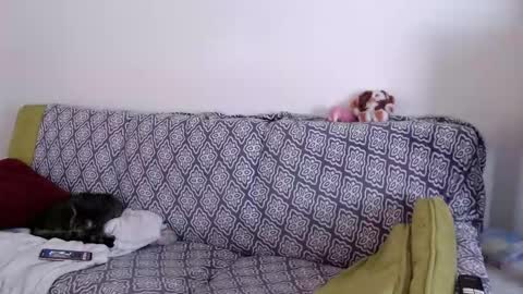 Strawberrylotsacake online show from 26, 3, 2026