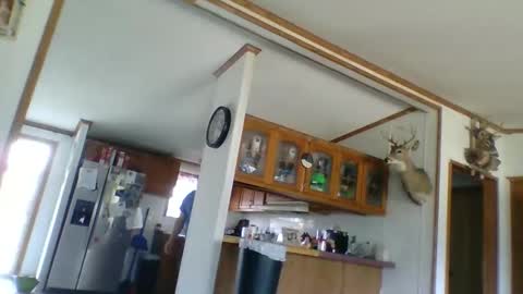 strokenmycock78 online show from 28, 3, 2026