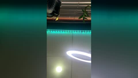 strong_rock69 online show from 28, 3, 2026