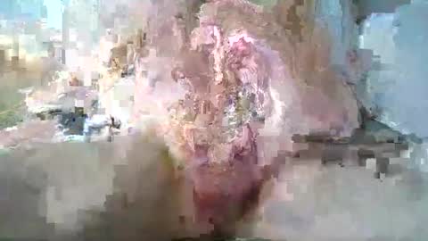 stthomasyr online show from 13, 5, 2026