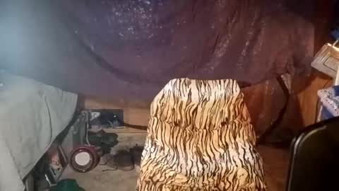 stuntcockdouble online show from 4, 3, 2026