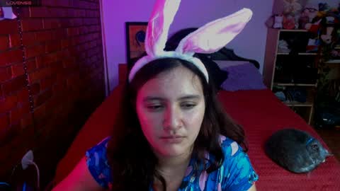 sunny online show from 13, 12, 2024