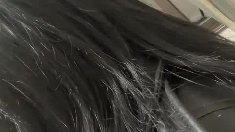 sunlily_touch online show from 6, 1, 2026