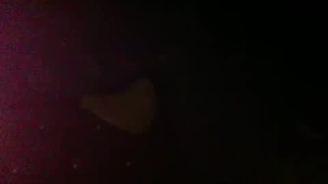 Sunnyblack2 online show from 9, 3, 2026