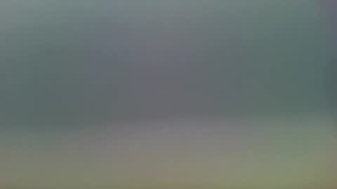 Snapshot of sunr1sa chatting on 4, 7, 2026 sunr1sa online show from 4, 7, 2026
