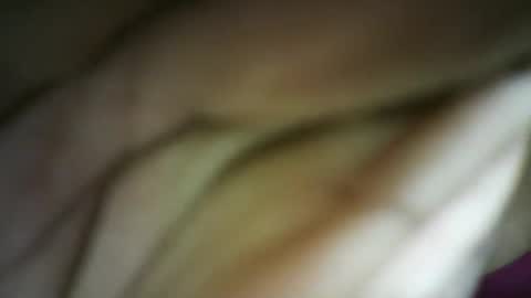 Sunshine online show from 9, 11, 2025