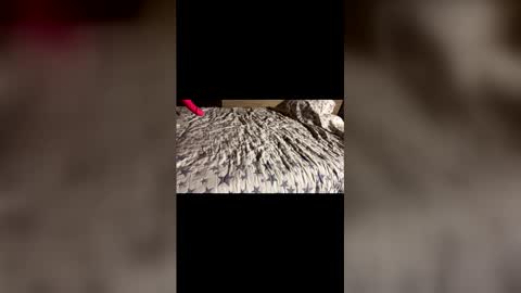 Stony online show from 21, 12, 2025