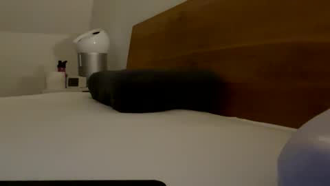 surfstar81 online show from 20, 3, 2026