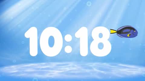 Susan online show from 18, 11, 2025