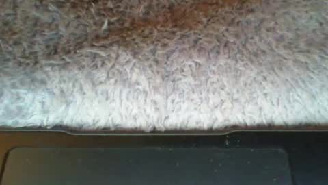 Snapshot of suseee chatting on 21, 3, 2026 Suseee online show from 21, 3, 2026