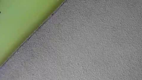 sussan_nasty online show from 16, 12, 2025