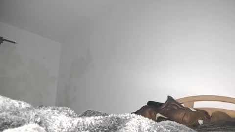 suzuki1250 online show from 6, 3, 2026