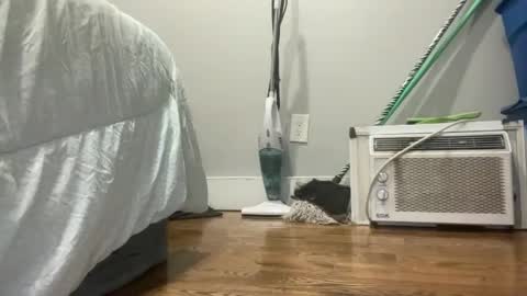 Snapshot of suzzy_q chatting on 7, 3, 2025 Just E F3M B0i online show from 7, 3, 2025