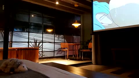 svenseries online show from 19, 2, 2025