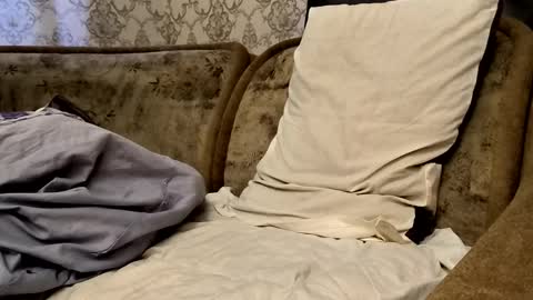 Sweet boy online show from 21, 9, 2025