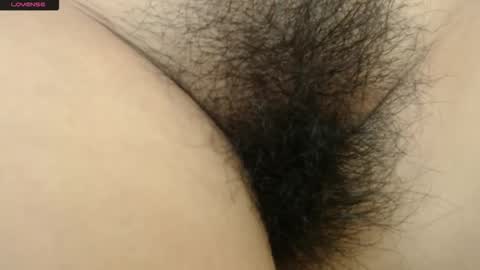 Barbara online show from 12, 1, 2026