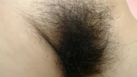 Barbara online show from 8, 3, 2026