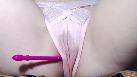 Kitten online show from 9, 3, 2025