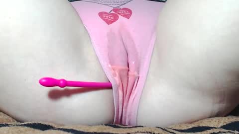 Kitten online show from 5, 4, 2026