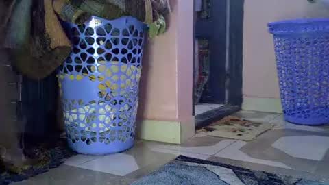 Lisa online show from 1, 2, 2026