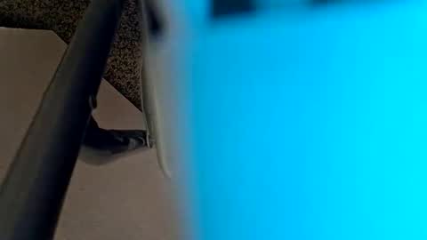 sweetboy842 online show from 28, 1, 2025