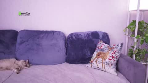 Vicktorious online show from 24, 2, 2025