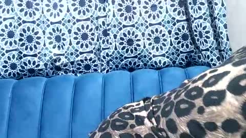 sweetgal11 online show from 3, 7, 2026