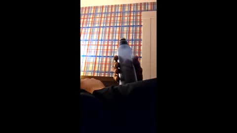 swinginghammer1987 online show from 30, 3, 2026